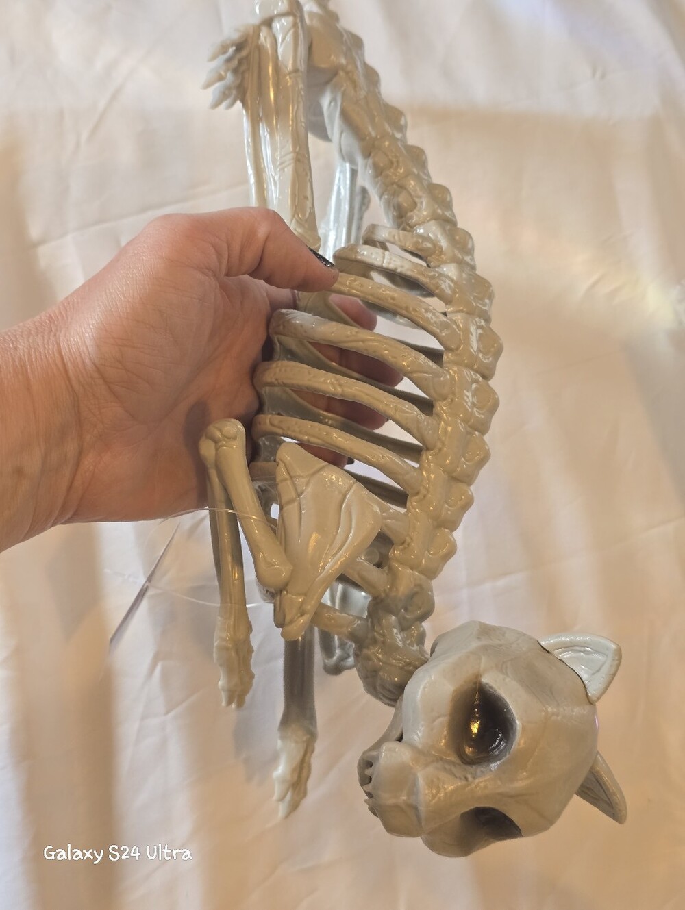 Halloween Cat Skeleton Moveable Decor NWT